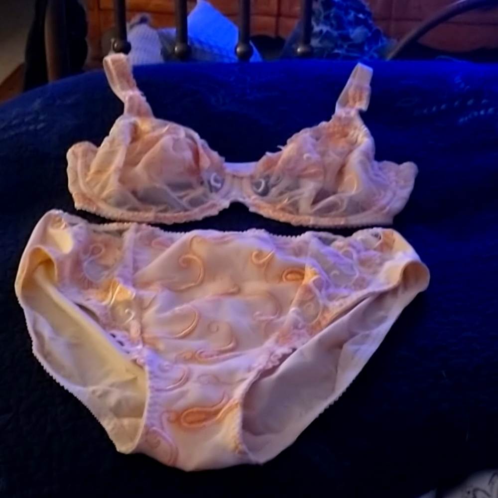 Primadonna Bra and Panties 36E and XL